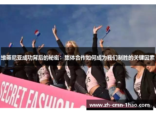 维蒂尼亚成功背后的秘密：集体合作如何成为我们制胜的关键因素