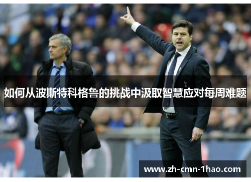 如何从波斯特科格鲁的挑战中汲取智慧应对每周难题