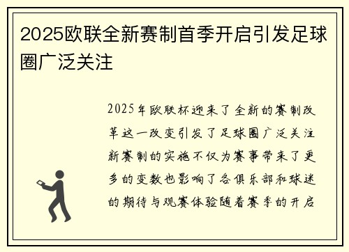 2025欧联全新赛制首季开启引发足球圈广泛关注